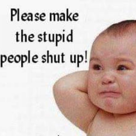 Meet your Posher, George - Picture 5 of 7